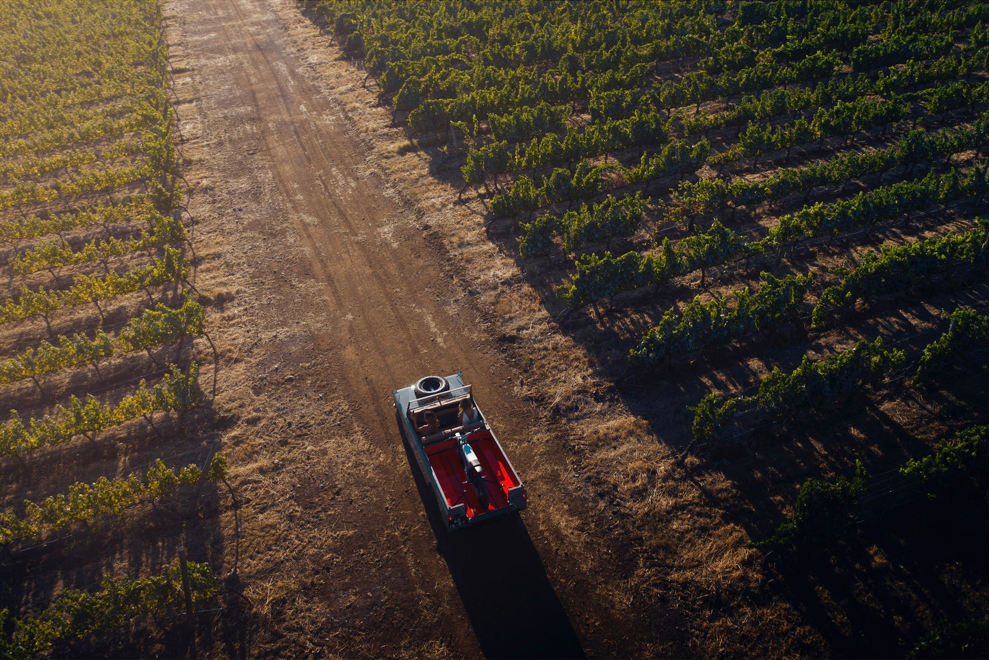 Print "Blinded by the Light"