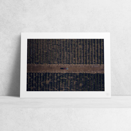 Print "Disruptive Symmetry"