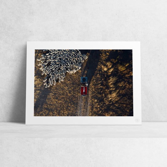 Print "Lead the Pack"